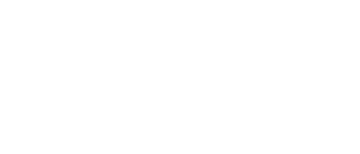 L'Gestion