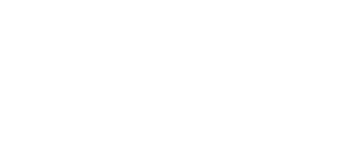 Synapse